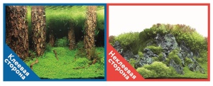 Фон двухсторонний с одной самоклеящейся стороной Затопленный лес/Камни с растениями 30x60см 9086/908