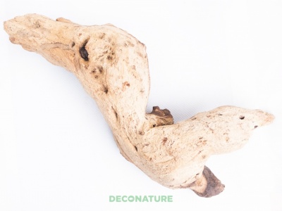 DECO NATURE MOPANE WOOD - Натуральная коряга африканского дерева мопани от 20 до 29 см
