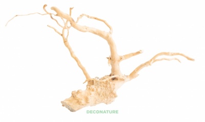DECO NATURE WOOD AZALEA XXXXL - Натуральный корень азалии для аквариума, террариума, от 60 до 69 см